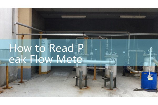 How to Read Peak Flow Meter Chart: Daily Log Templates and Symptoms Variance Analysis